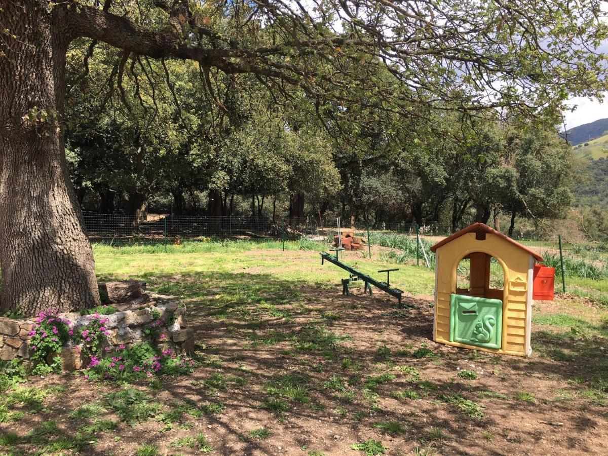 Azienda Agrituristica S'Argalasi - B&B - Affittacamere Loc S'Argalasi Austis 外观 照片