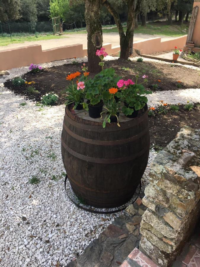 Azienda Agrituristica S'Argalasi - B&B - Affittacamere Loc S'Argalasi Austis 外观 照片